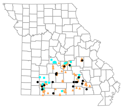 Historical locality map for Eurycea nerea (Northern Grotto Salamander)