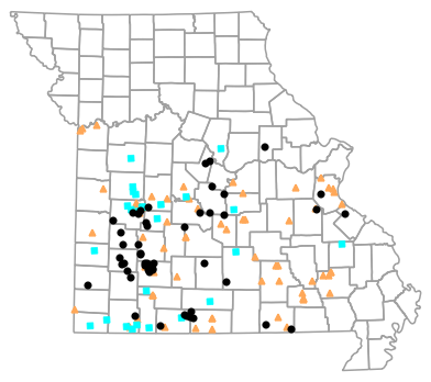 Historical locality map for Masticophis flagellum (Eastern Coachwhip)