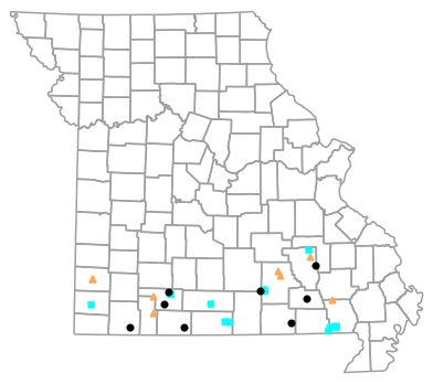 Historical locality map for Necturus louisianensis (Red River Mudpuppy)