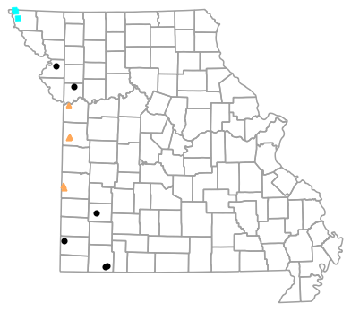 Historical locality map for Plestiodon obsoletus (Great Plains Skink)