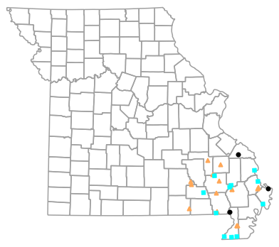 Historical locality map for Pseudacris feriarum (Upland Chorus Frog)