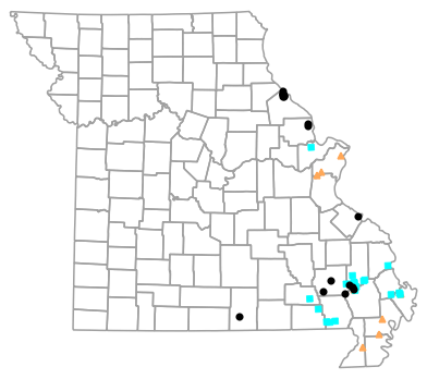Historical locality map for Siren nettingi (Western Lesser Siren)