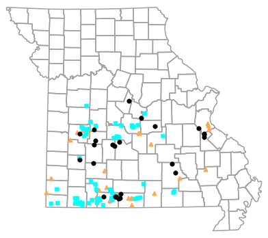 Historical locality map for Virginia striatula (Rough Earthsnake)