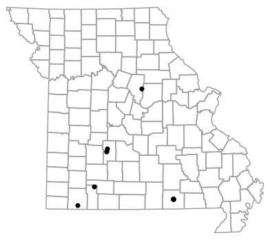 Map of records for University of Arkansas--Fayetteville (1909 - 1956)