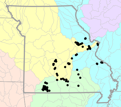 Major watersheds map for Ambystoma annulatum (Ringed Salamander)