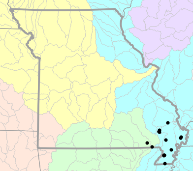 Major watersheds map for Amphiuma tridactylum (Three-toed Amphiuma)
