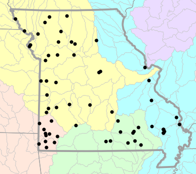 Major watersheds map for Dryophytes chrysoscelis (Cope