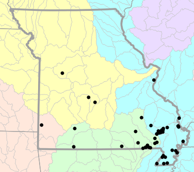 Major watersheds map for Dryophytes cinereus (Green Treefrog)