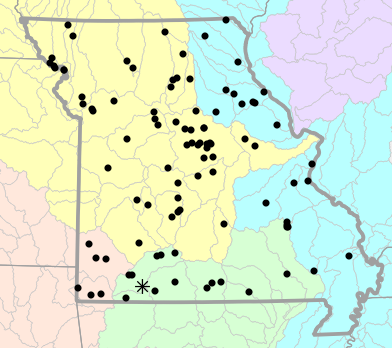 Major watersheds map for Dryophytes versicolor (Gray Treefrog)