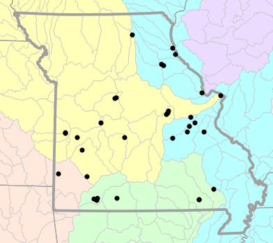 Major watersheds map for Graptemys ouachitensis (Ouachita Map Turtle)