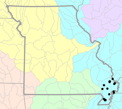 Major watersheds map for Lampropeltis nigra (Eastern Black Kingsnake)