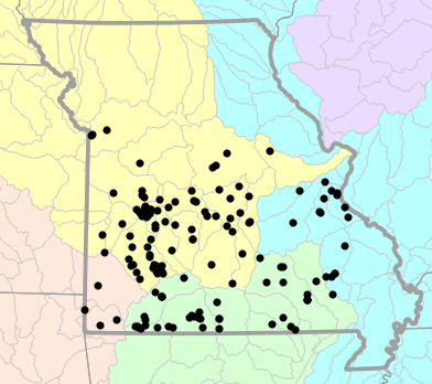 Major watersheds map for Masticophis flagellum (Eastern Coachwhip)