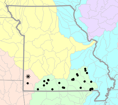Major watersheds map for Necturus louisianensis (Red River Mudpuppy)