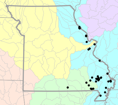 Major watersheds map for Siren nettingi (Western Lesser Siren)