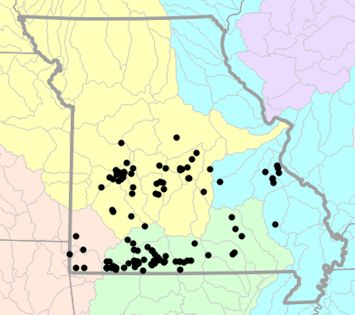 Major watersheds map for Virginia striatula (Rough Earthsnake)