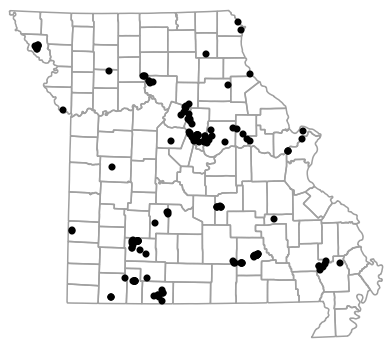 Map of records for 2025